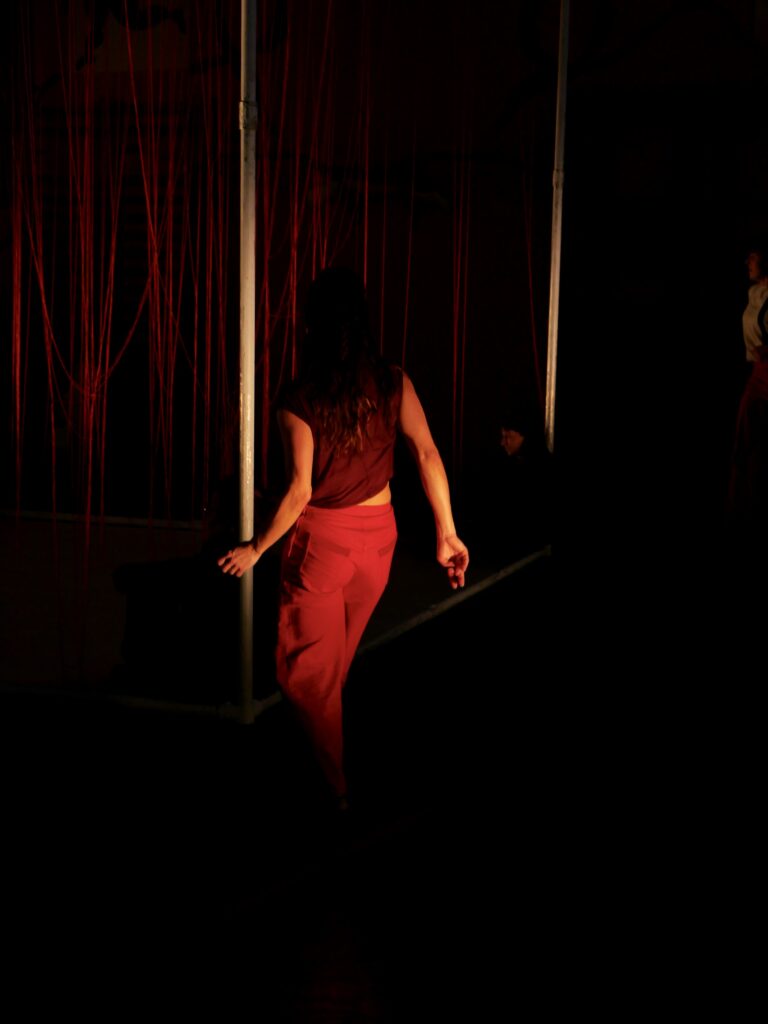 Festival Rouge Carmin 1